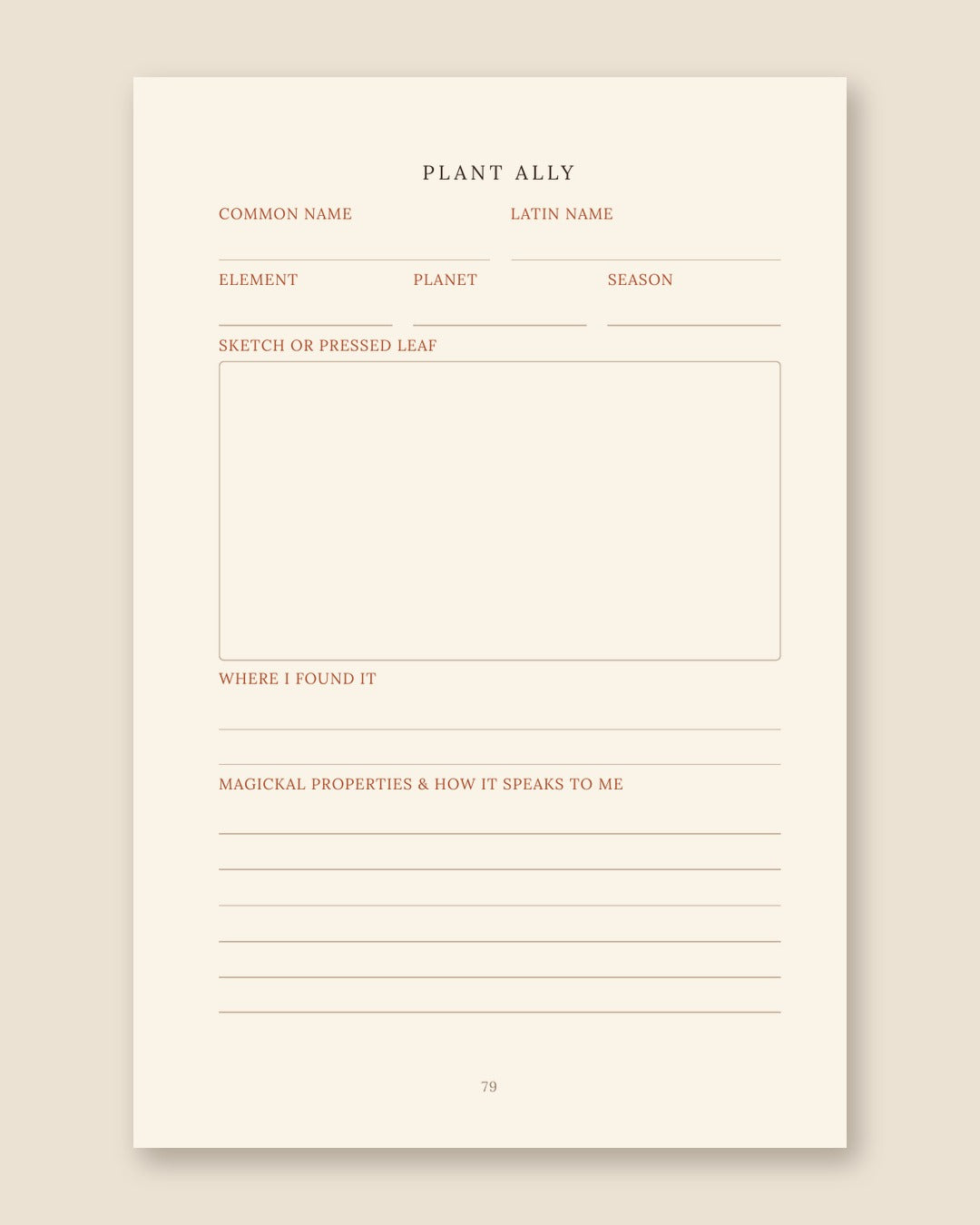 Witch Girl Workbook