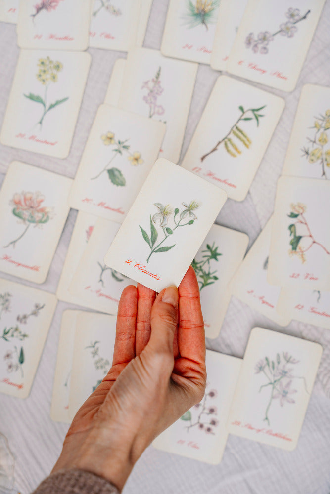 Bach flower essences